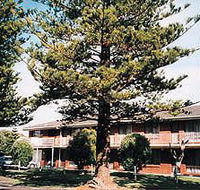 Eastern Beach Holiday Units - Accommodation Port Macquarie