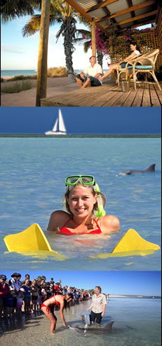 Monkey Mia Dolphin Resort - Accommodation Port Macquarie 0