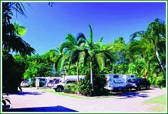 Tropical Hibiscus Caravan Park - Accommodation Port Macquarie 0