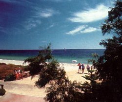Acacia Caravan Park - Accommodation Port Macquarie 0