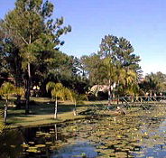 Twin Lakes Hotel - Accommodation Port Macquarie