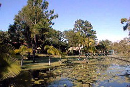 Twin Lakes Hotel - Accommodation Port Macquarie 0