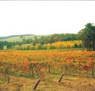 Byramgou Park - Accommodation Port Macquarie