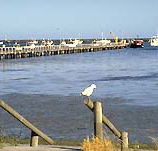 Seaview Motel and Holiday Units - Accommodation Port Macquarie