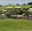 Ace Hi Riding Ranch - Accommodation Port Macquarie