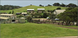 Ace Hi Riding Ranch - Accommodation Port Macquarie 0