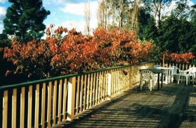 Heronswood House - Accommodation Port Macquarie 5