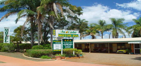 Avocado Motor Inn - Accommodation Port Macquarie 0