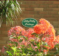 Lillypilly - Accommodation Port Macquarie