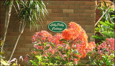 Lillypilly - Accommodation Port Macquarie 0