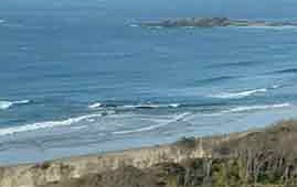 Beach Haven Apartments - Accommodation Port Macquarie 0