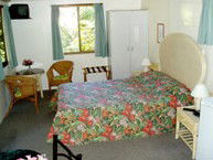 Kuranda Rainforest Accommodation Park - Accommodation Port Macquarie 2