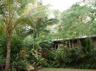 Kuranda Rainforest Accommodation Park - Accommodation Port Macquarie 3