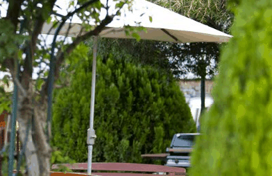 Beechworth Carriage Motor Inn - Accommodation Port Macquarie 3