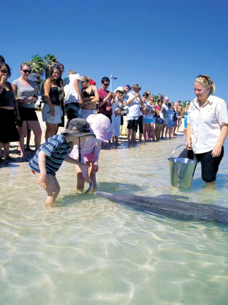 Monkey Mia Dolphin Resort - Accommodation Port Macquarie 1