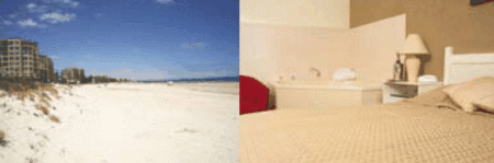 Buffalo Motor Inn - Accommodation Port Macquarie 4