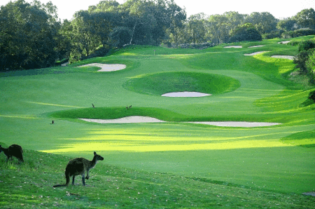 Joondalup Resort - Accommodation Port Macquarie 1