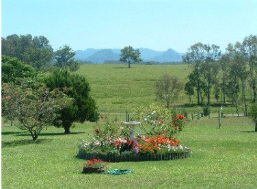 Tallowood Ridge Farmstay B - Accommodation Port Macquarie 3