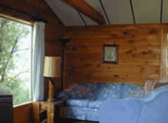 The Pines Resort - Accommodation Port Macquarie