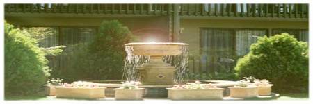 Best Western Tall Trees Motel - Accommodation Port Macquarie 2