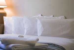 High Cross Park Lodge - Accommodation Port Macquarie 3