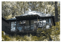 Treetops Resorts - Accommodation Port Macquarie 2