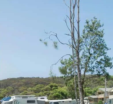 Merry Beach Caravan Park - Accommodation Port Macquarie 2
