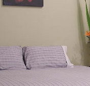 Stingo Hotel - Accommodation Port Macquarie