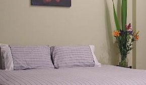 Stingo Hotel - Accommodation Port Macquarie 0