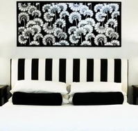 Patrick Plains Estate - Accommodation Port Macquarie