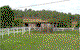 Jacaranda Motor Lodge - thumb 1