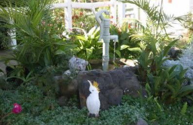 Kingfisher Motel - Accommodation Port Macquarie 3
