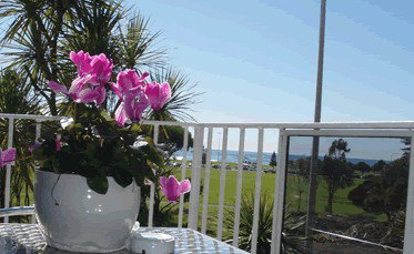 Beach Park Motor Inn - Accommodation Port Macquarie 3