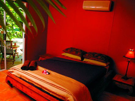 Rum Jungle Bungalows - Accommodation Port Macquarie 2