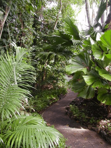 Rainforest Grove Holiday Resort - Accommodation Port Macquarie 1