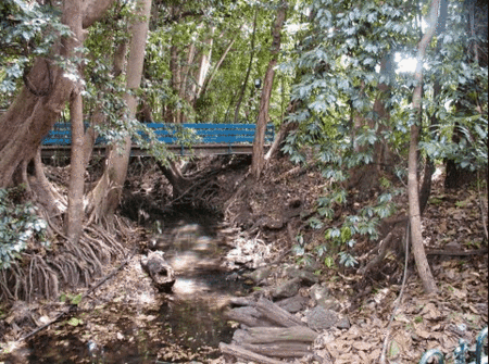 Rainforest Grove Holiday Resort - Accommodation Port Macquarie 3