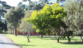 Gellibrand River Valley Cabins - Accommodation Port Macquarie 1