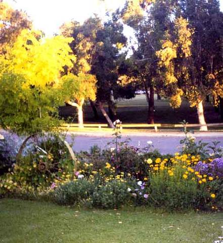 Parkside Bed And Breakfast - Accommodation Port Macquarie 1