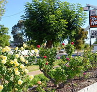 Narrogin Motel - Accommodation Port Macquarie