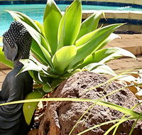 Barham Bridge Motor Inn - Accommodation Port Macquarie