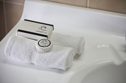 Cumberland Motor Inn - Accommodation Port Macquarie 7