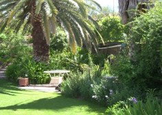 Nthaba Cottage - Accommodation Port Macquarie 0
