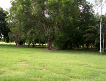 Daly River Mango Farm - Accommodation Port Macquarie 1