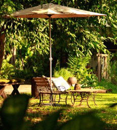 Rum Jungle Bungalows - Accommodation Port Macquarie 4