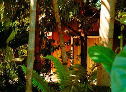 Rum Jungle Bungalows - Accommodation Port Macquarie 5