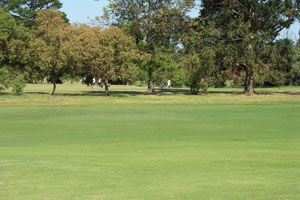 Beach Motor Inn - Accommodation Port Macquarie 7