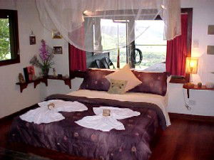 Daintree Cloud 9 - Accommodation Port Macquarie 0