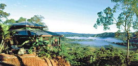 Daintree Cloud 9 - Accommodation Port Macquarie 1