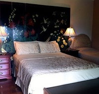 Daintree Manor - Accommodation Port Macquarie