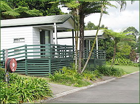 Palmwoods Caravan Park - Accommodation Port Macquarie 1